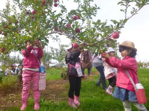 りんご狩り